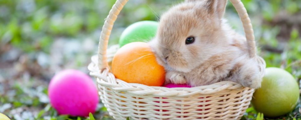 Quali sono i valori della Pasqua