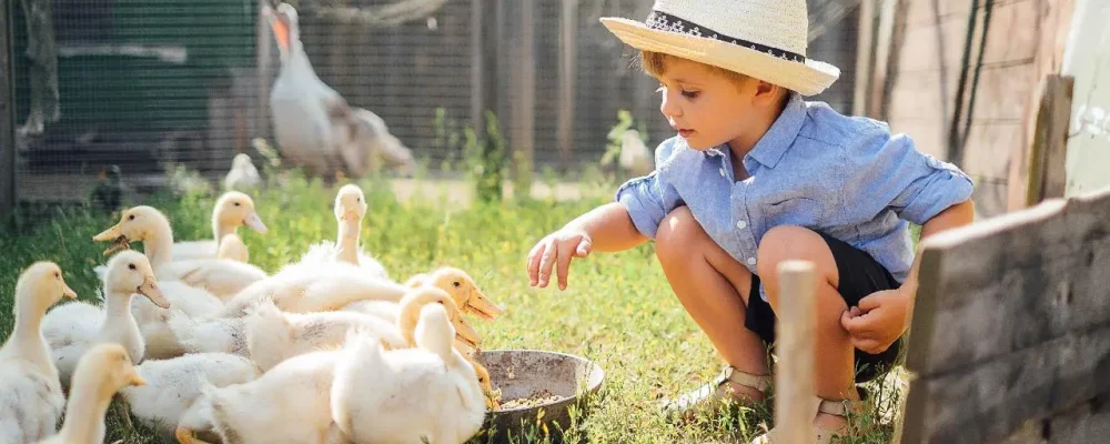 Perchè trascorrere il giorno di Pasqua 2024 in Agriturismo